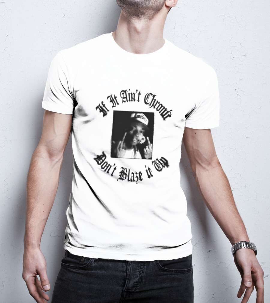 If It Ain't Chronic Don't Blaze It Up Smoking Quote T-Shirt