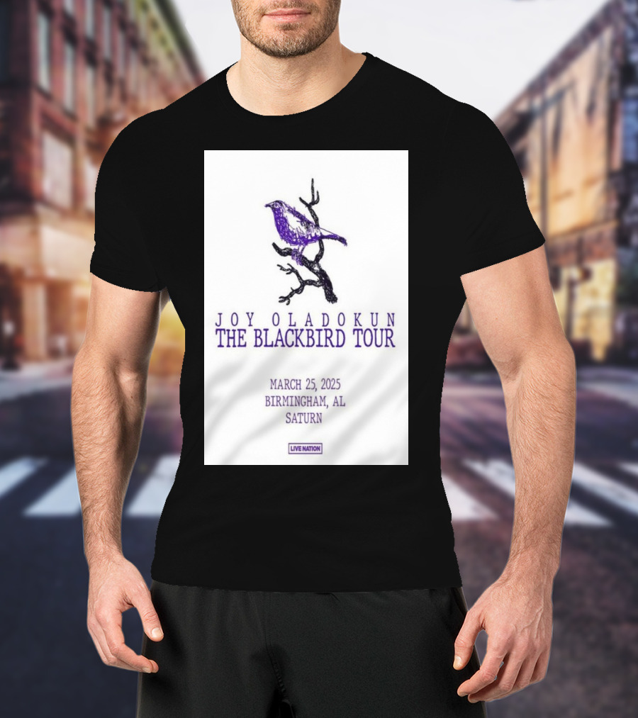 Joy Oladokun The Blackbird Tour Birmingham AL March 25 2025 Saturn T-Shirt