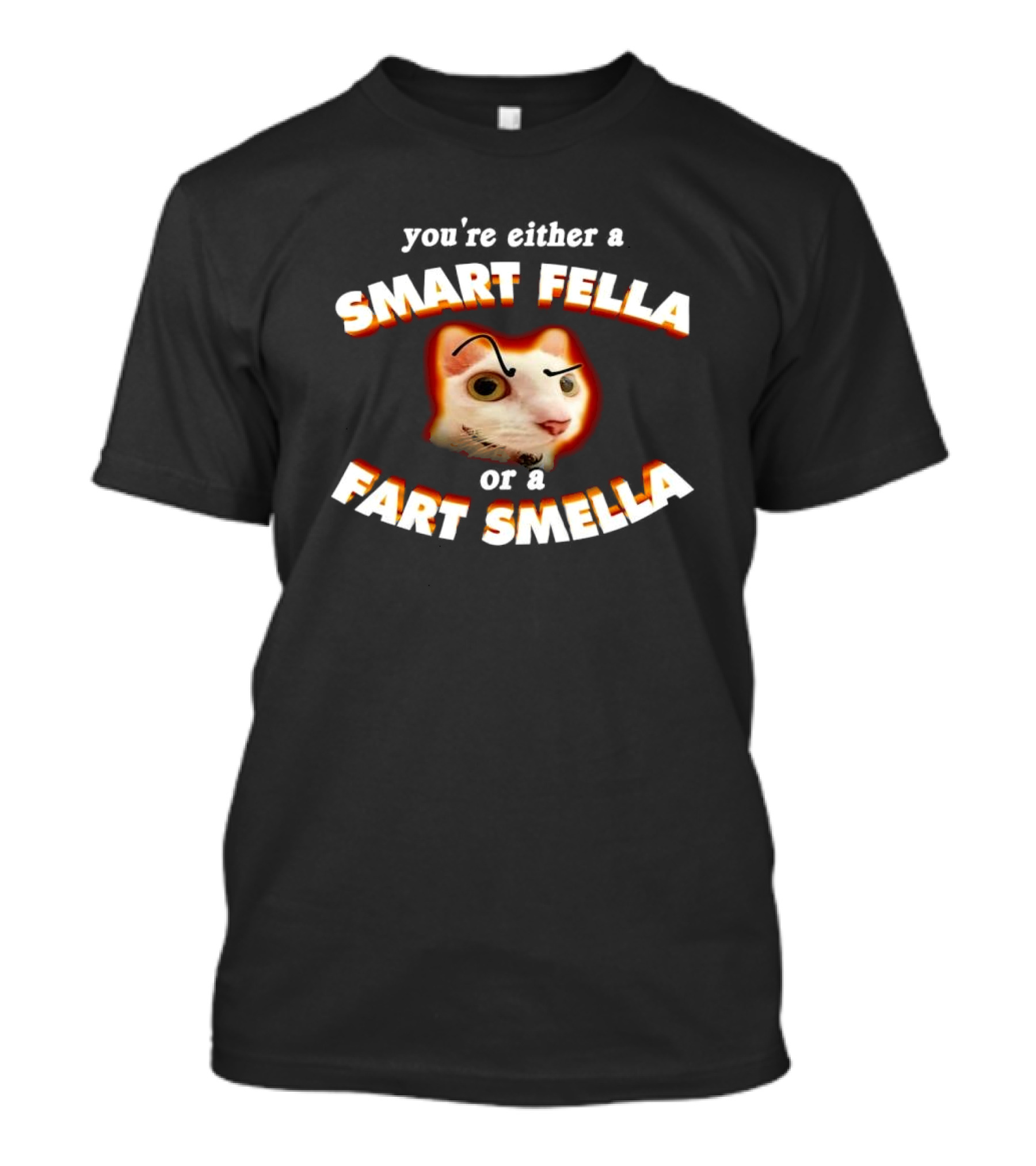 You're Either A Smart Fella Or A Fart Smella Cat Face T-Shirt