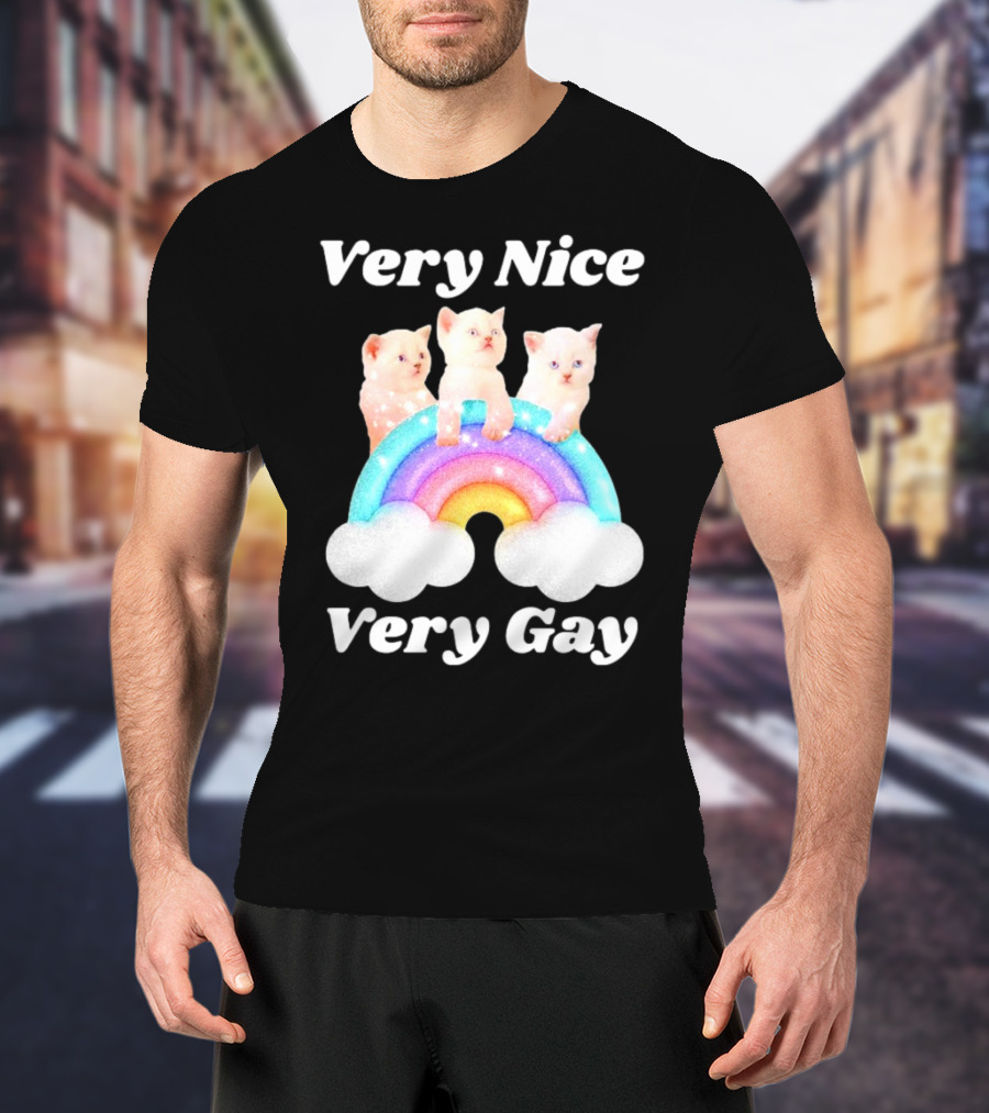 Very Nice Very Gay Cats On Rainbow T-Shirt