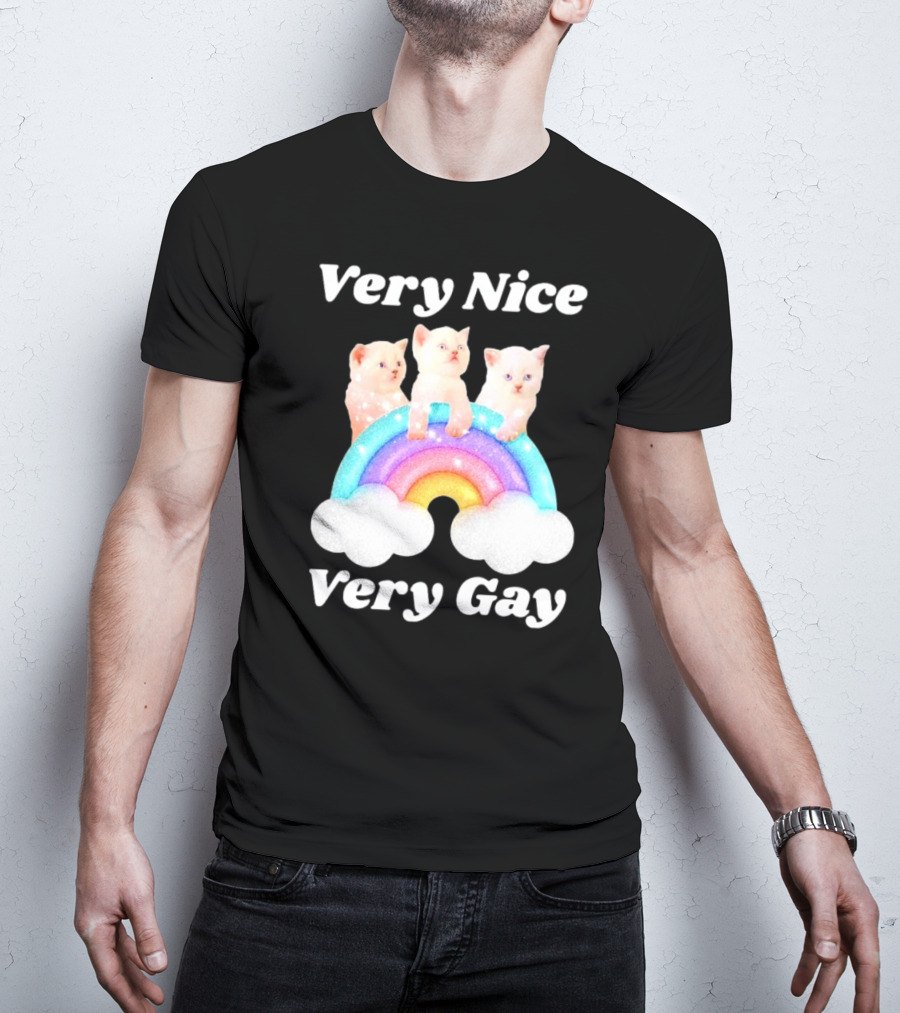 Very Nice Very Gay Cats On Rainbow T-Shirt