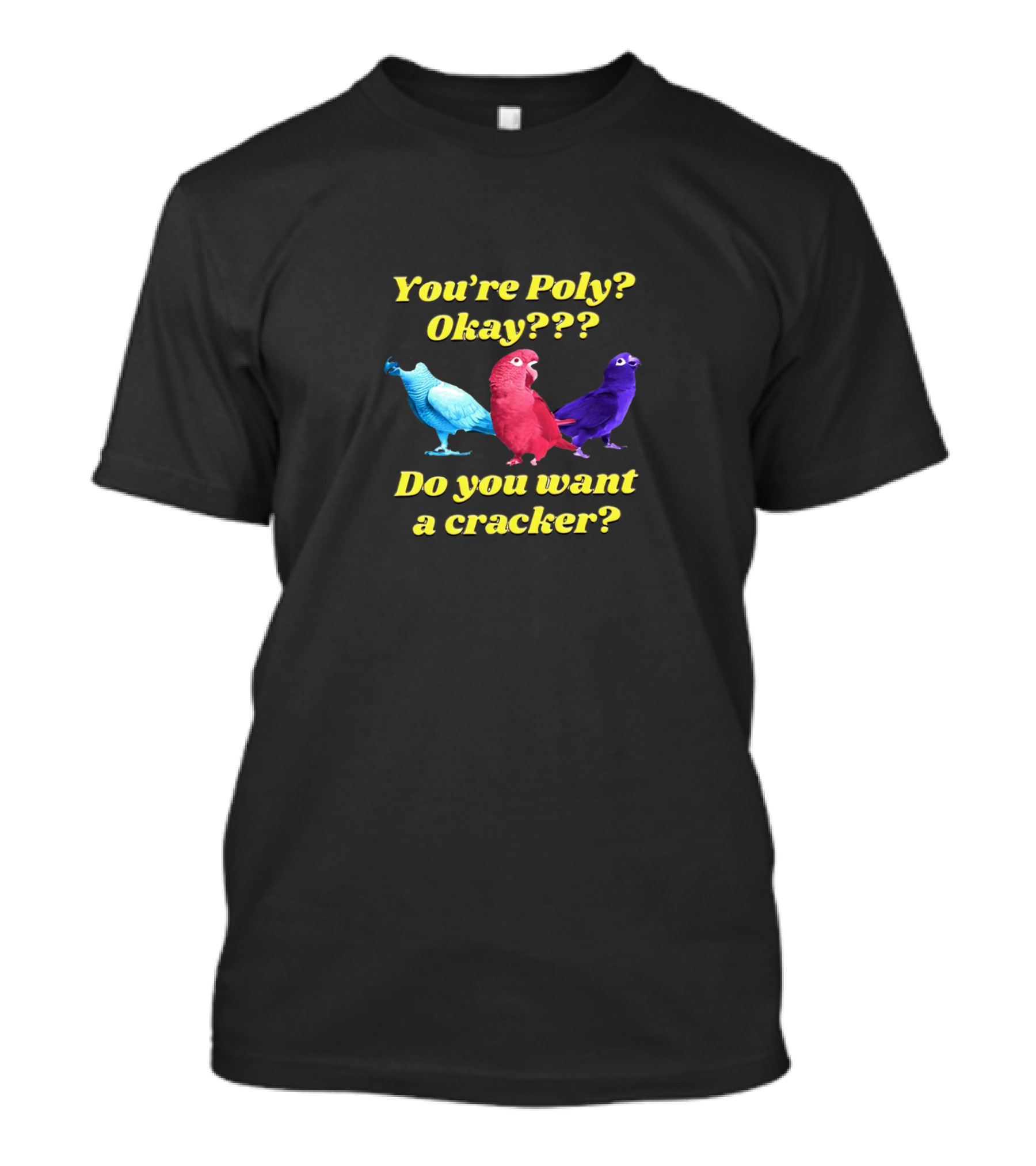 You’re Poly? Okay??? Do You Want A Cracker? Colorful Parrots T-Shirt