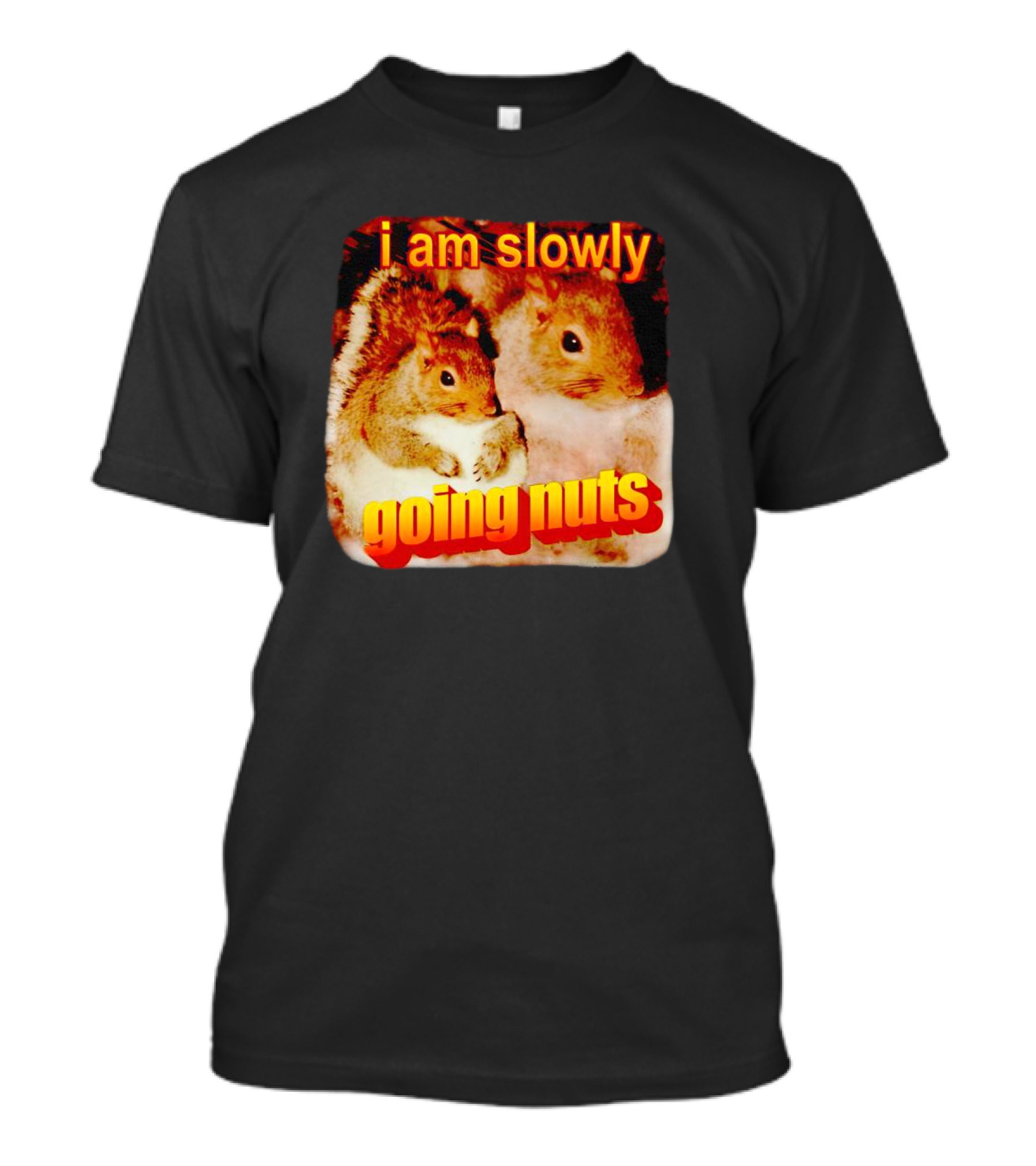 I Am Slowly Going Nuts Squirrel Duo T-Shirt