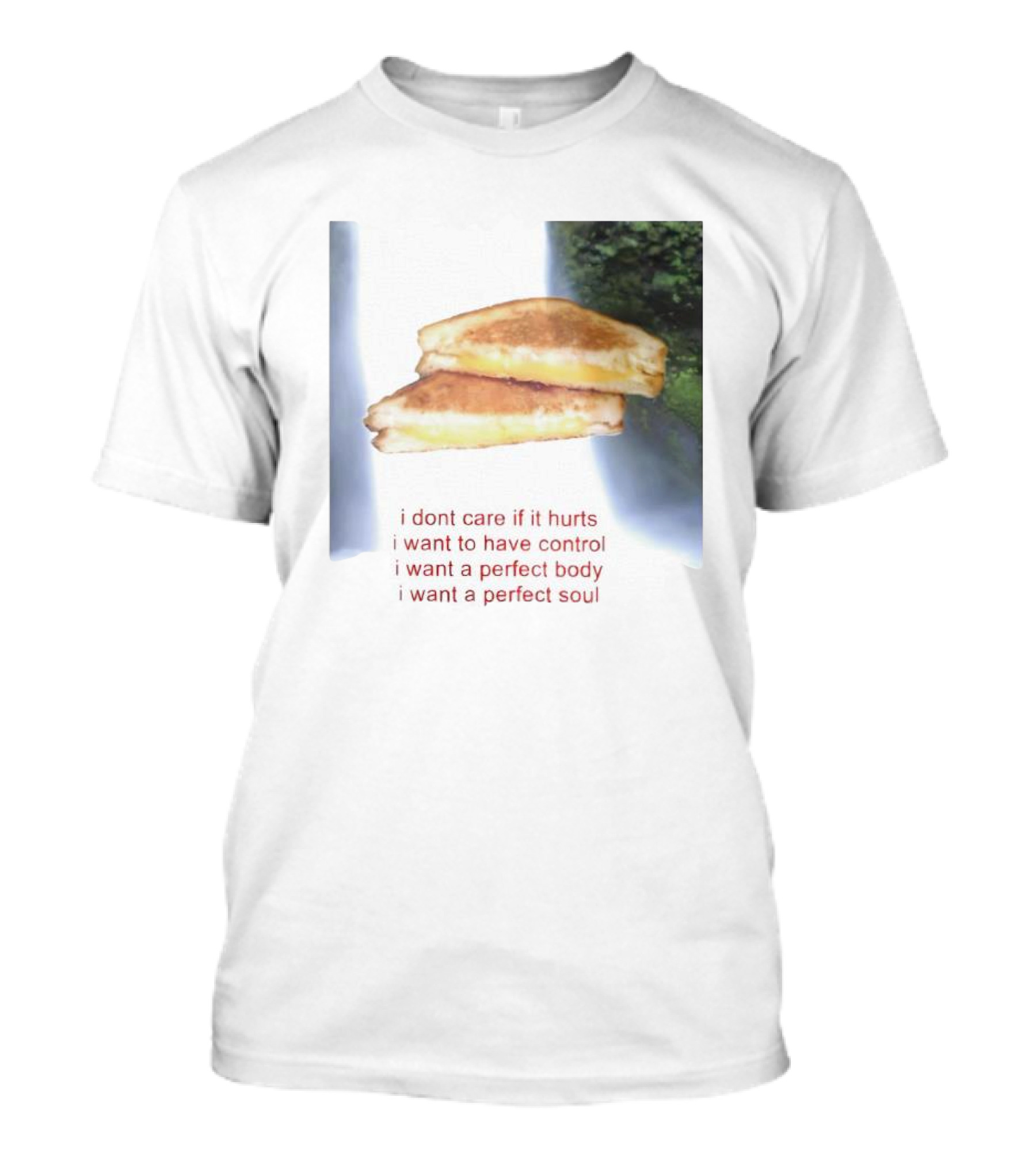 I Don’t Care If It Hurts I Want To Have Control Grilled Cheese I Want A Perfect Body I Want A Perfect Soul T-Shirt