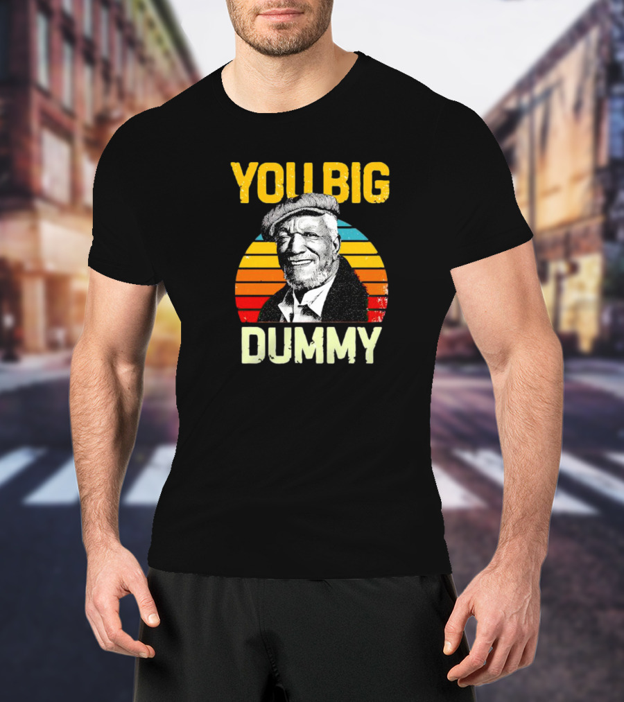You Big Dummy Fred Sanford Vintage Retro Stripes T-Shirt