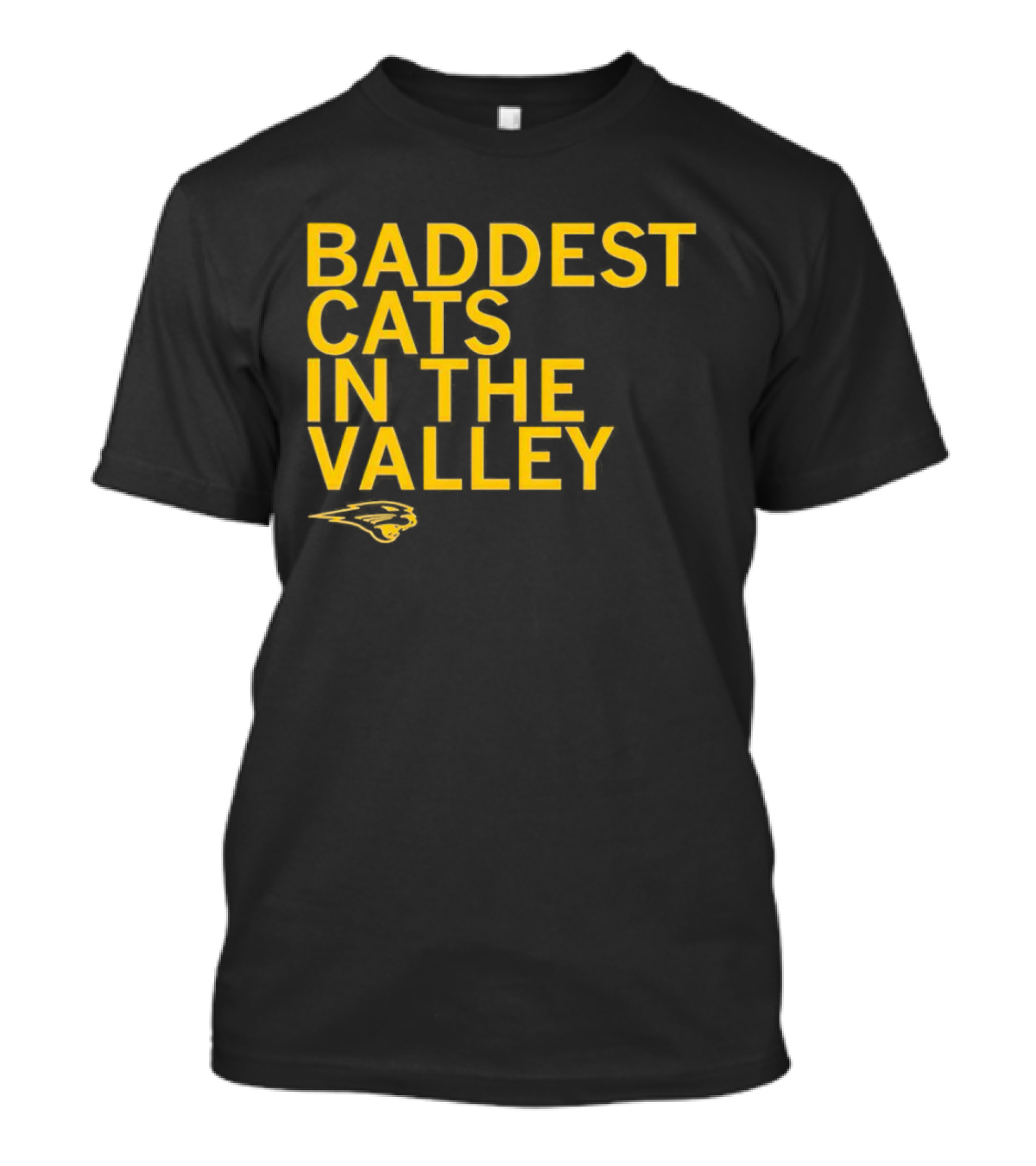 Baddest Cats In The Valley Northern Iowa Panthers T-Shirt
