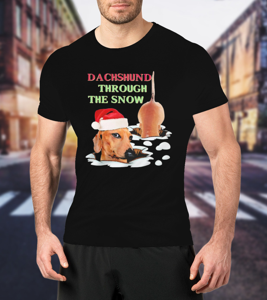 Dachshund Through The Snow Santa Hat Dog And Snow Bubbles T-Shirt