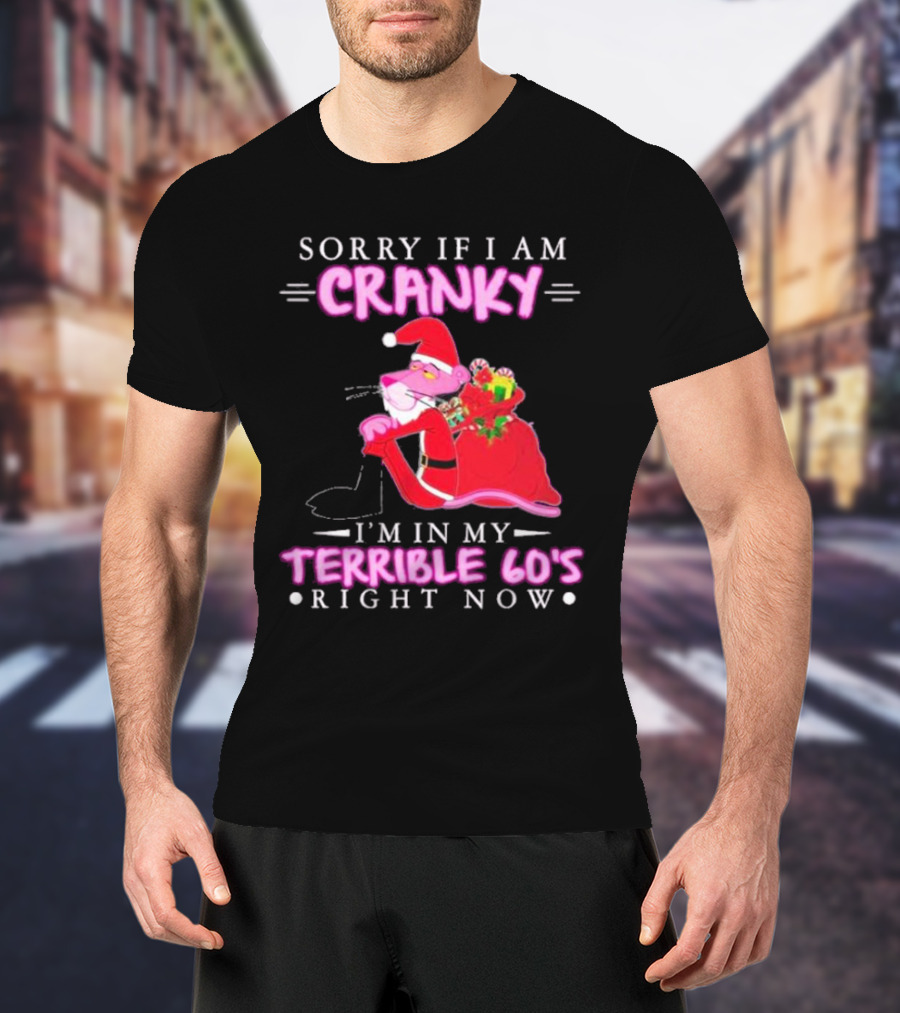 Sorry If I Am Cranky Pink Panther Santa I'm In My Terrible 60's Right Now T-Shirt