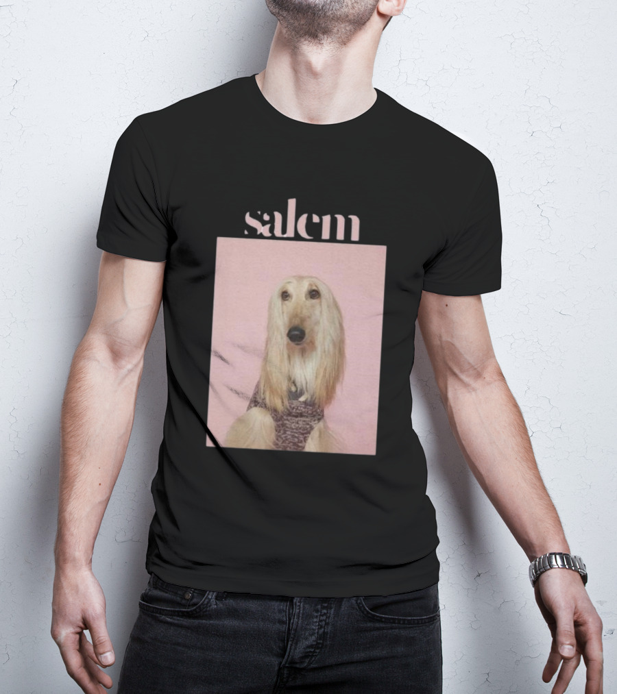 Salem Ilese Dog Afghan Hound Portrait On Pink Background T-Shirt