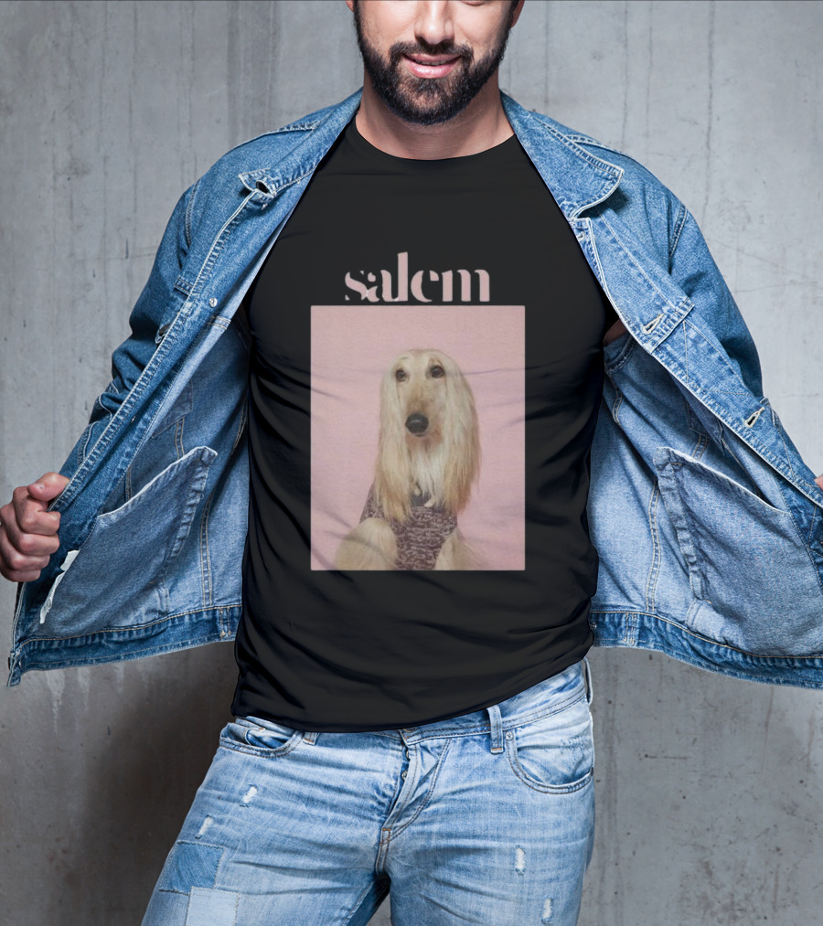 Salem Ilese Dog Afghan Hound Portrait On Pink Background T-Shirt