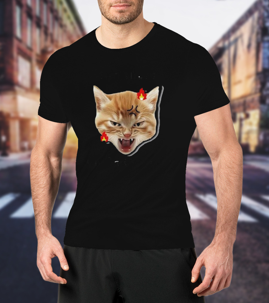 Childless Angry Cat Lady Voter Flame Emoji T-Shirt