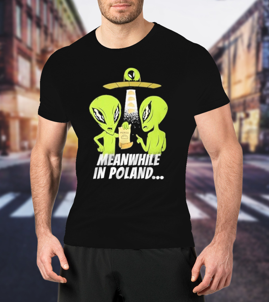Meanwhile In Poland Alien Abduction Pierogi T-Shirt