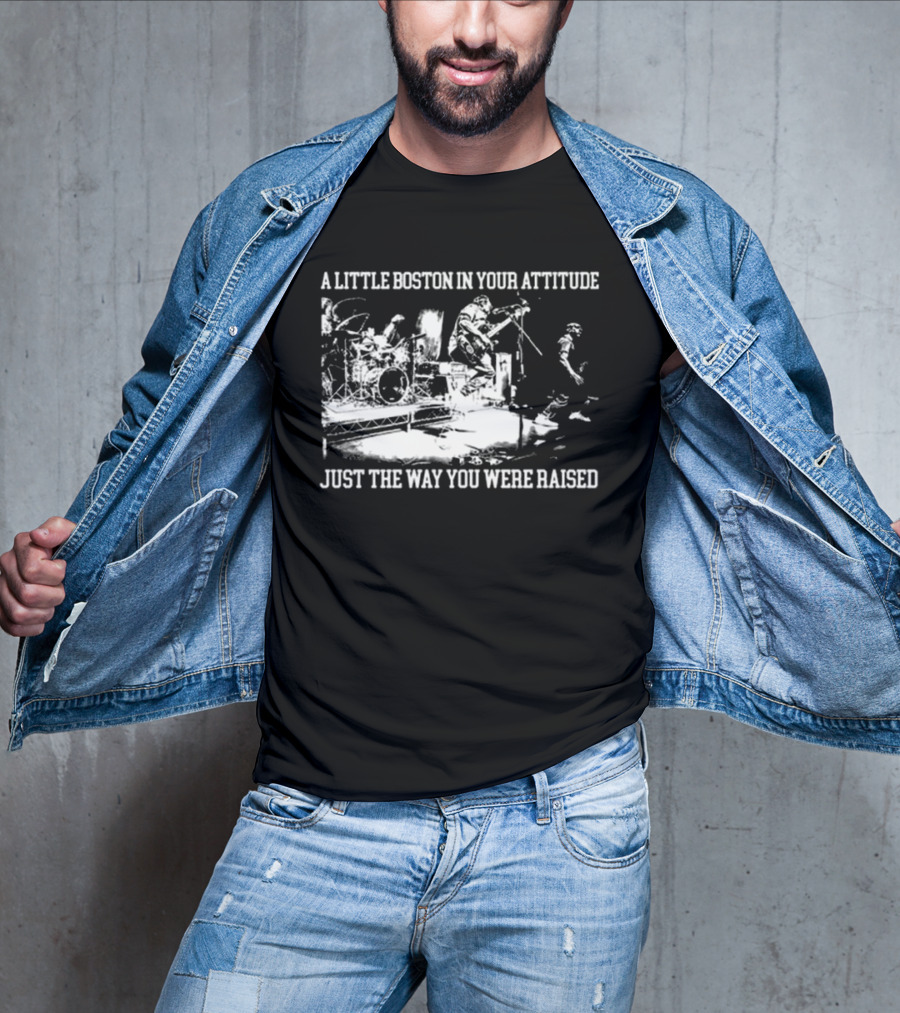 A Little Boston In Your Attitude Just The Way You Were Raised The Menzingers T-Shirt
