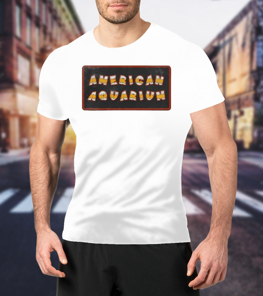 American Aquarium Vintage Aesthetic Letters T-Shirt