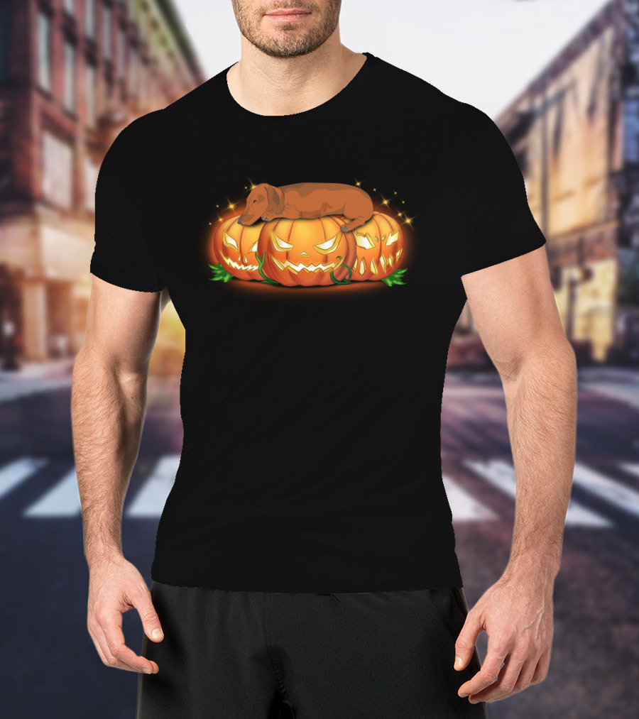 Dachshund Sleeping On Glowing Halloween Pumpkins T-Shirt