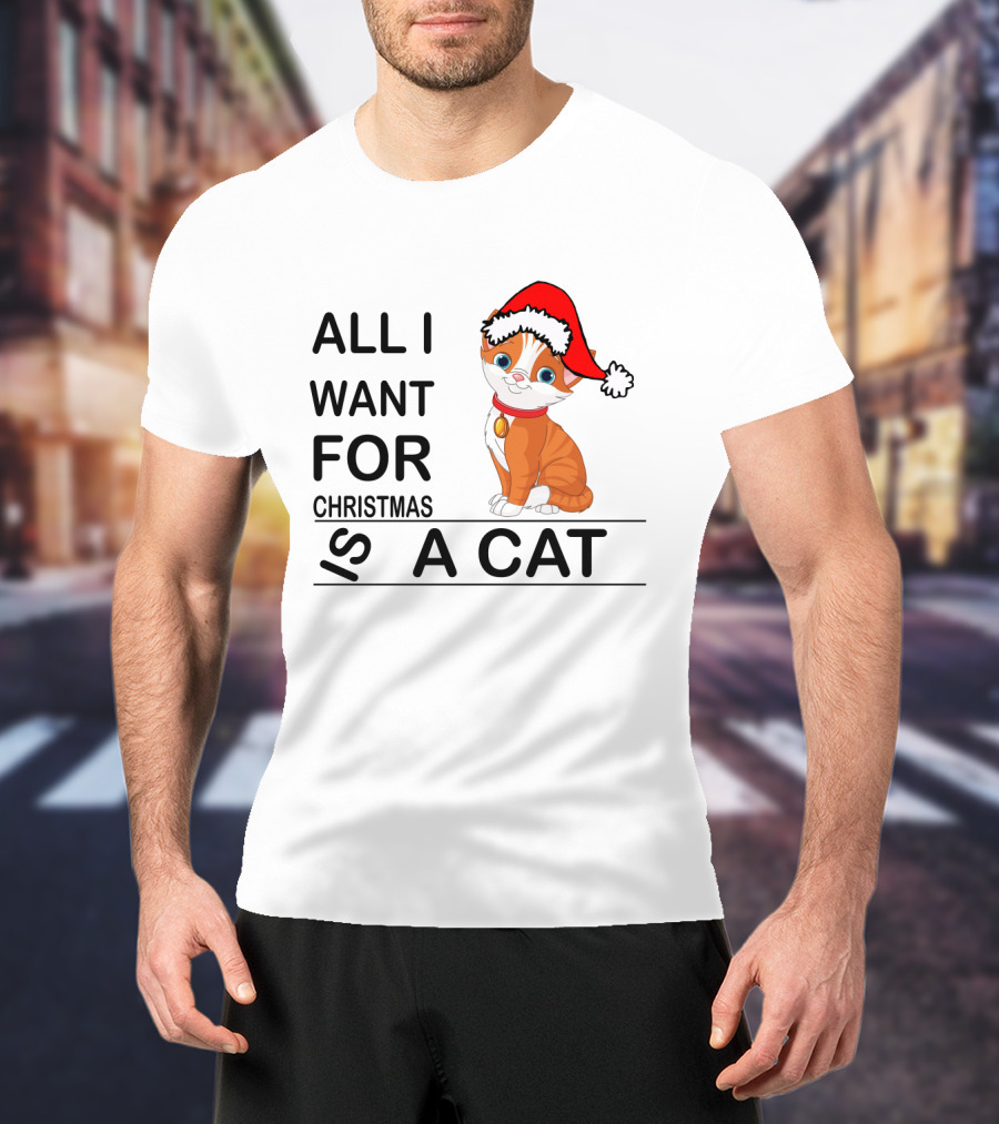 All I Want For Christmas Is A Cat Wearing Santa Hat T-Shirt