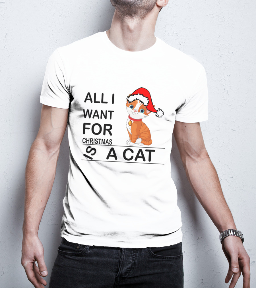 All I Want For Christmas Is A Cat Wearing Santa Hat T-Shirt