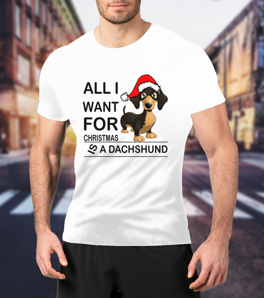 All I Want For Christmas Is A Dachshund Wearing Santa Hat T-Shirt