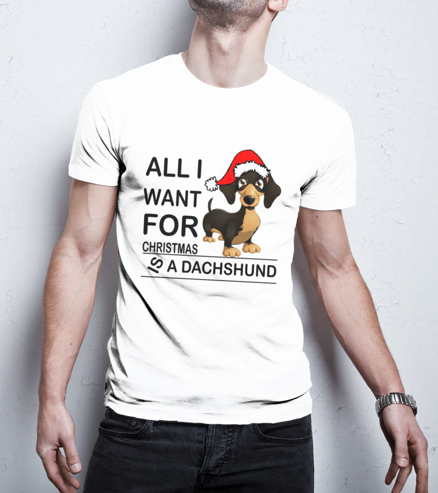 All I Want For Christmas Is A Dachshund Wearing Santa Hat T-Shirt