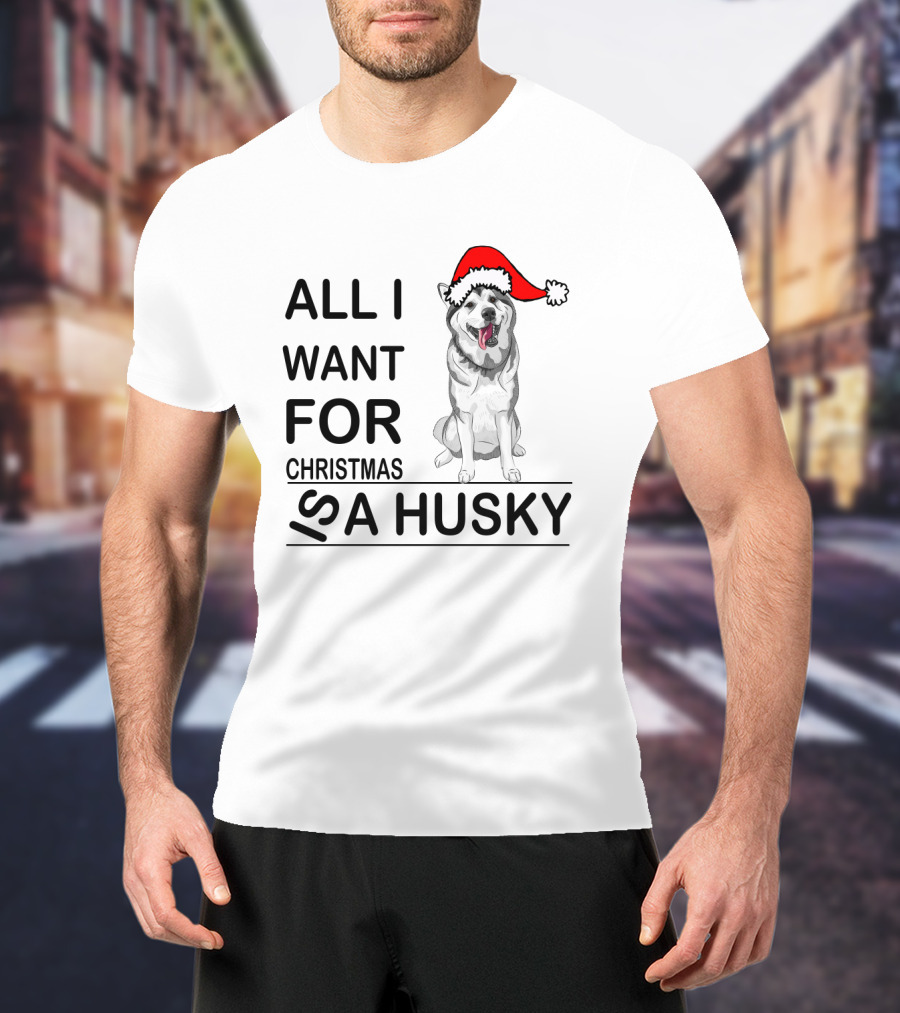 All I Want For Christmas Is A Husky With Santa Hat T-Shirt