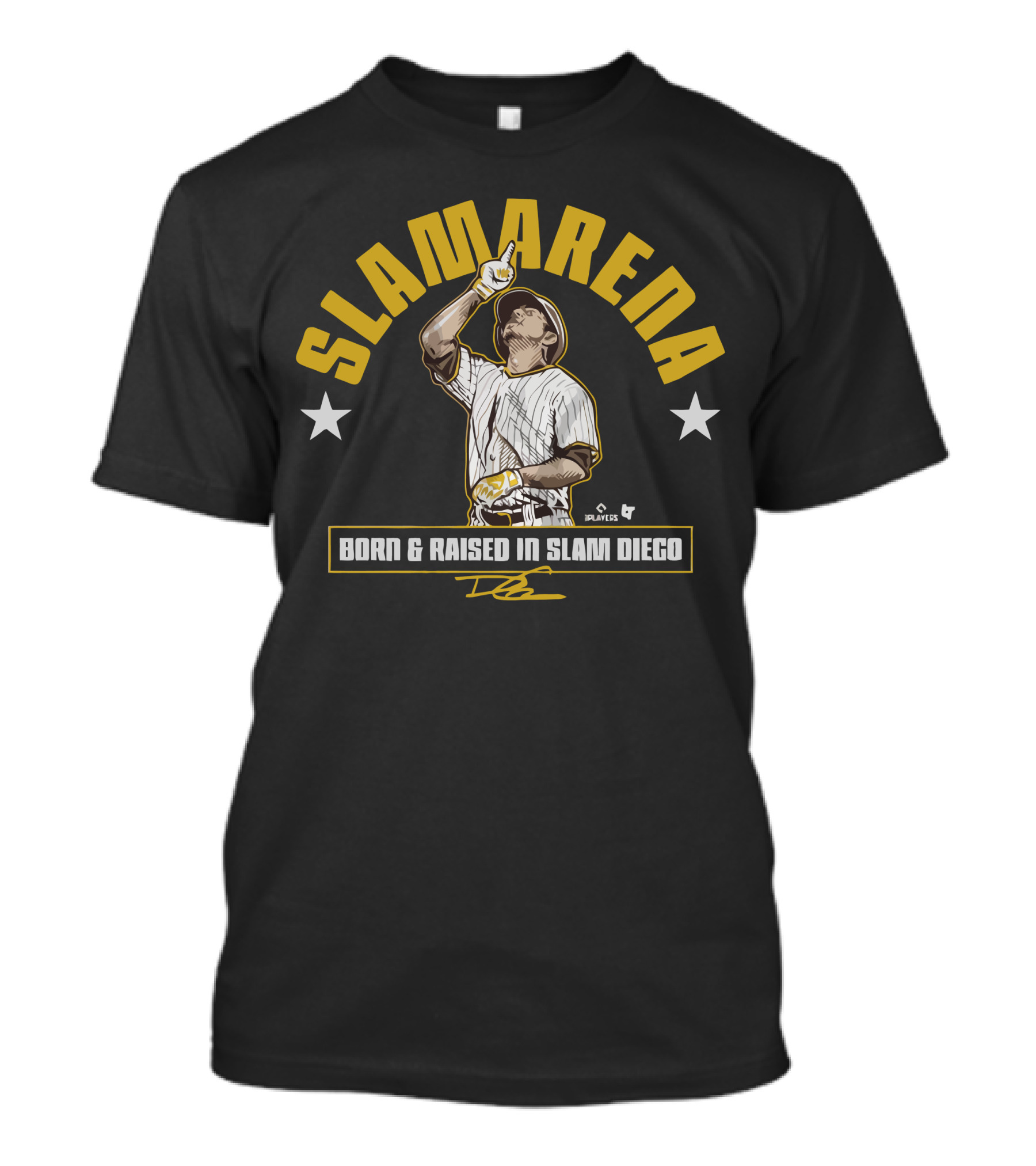 SLAMARENA Born And Raised In Slam Diego Baseball Stars T-Shirt