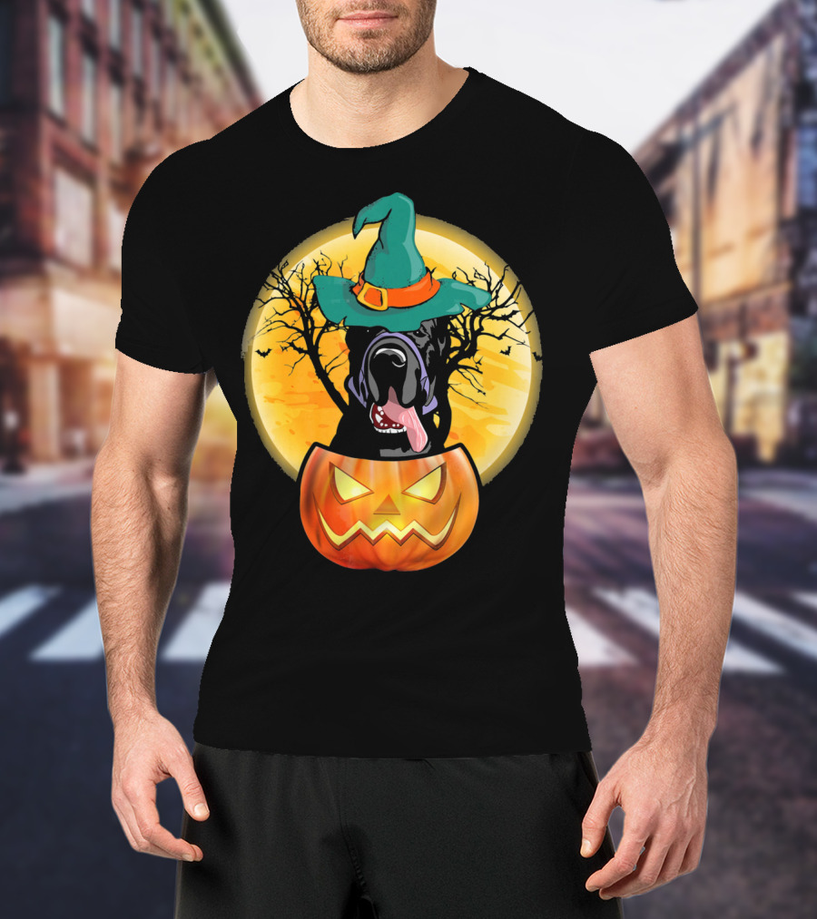 Great Dane Halloween Pumpkin Witch Hat Spooky Scene T-Shirt