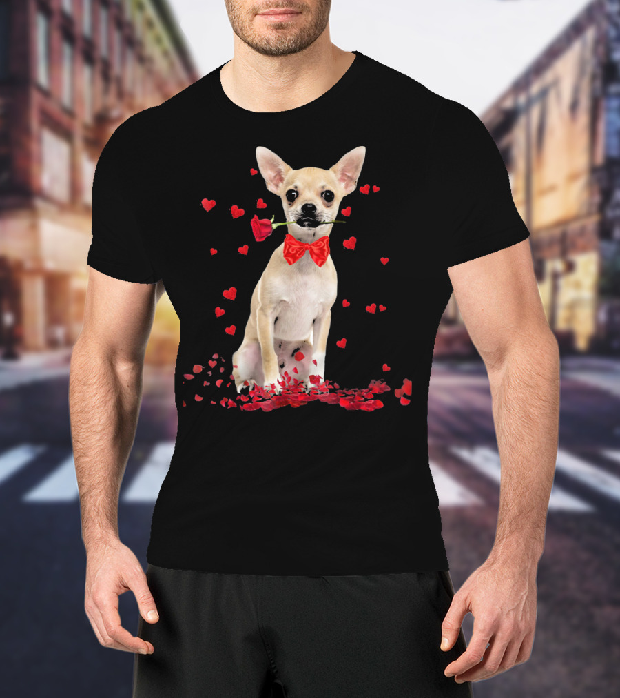 Chihuahua Valentine's Day Rose And Hearts T-Shirt