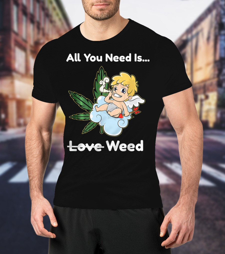 All You Need Is Weed Funny Valentines Day Cupid Smoki T-Shirt