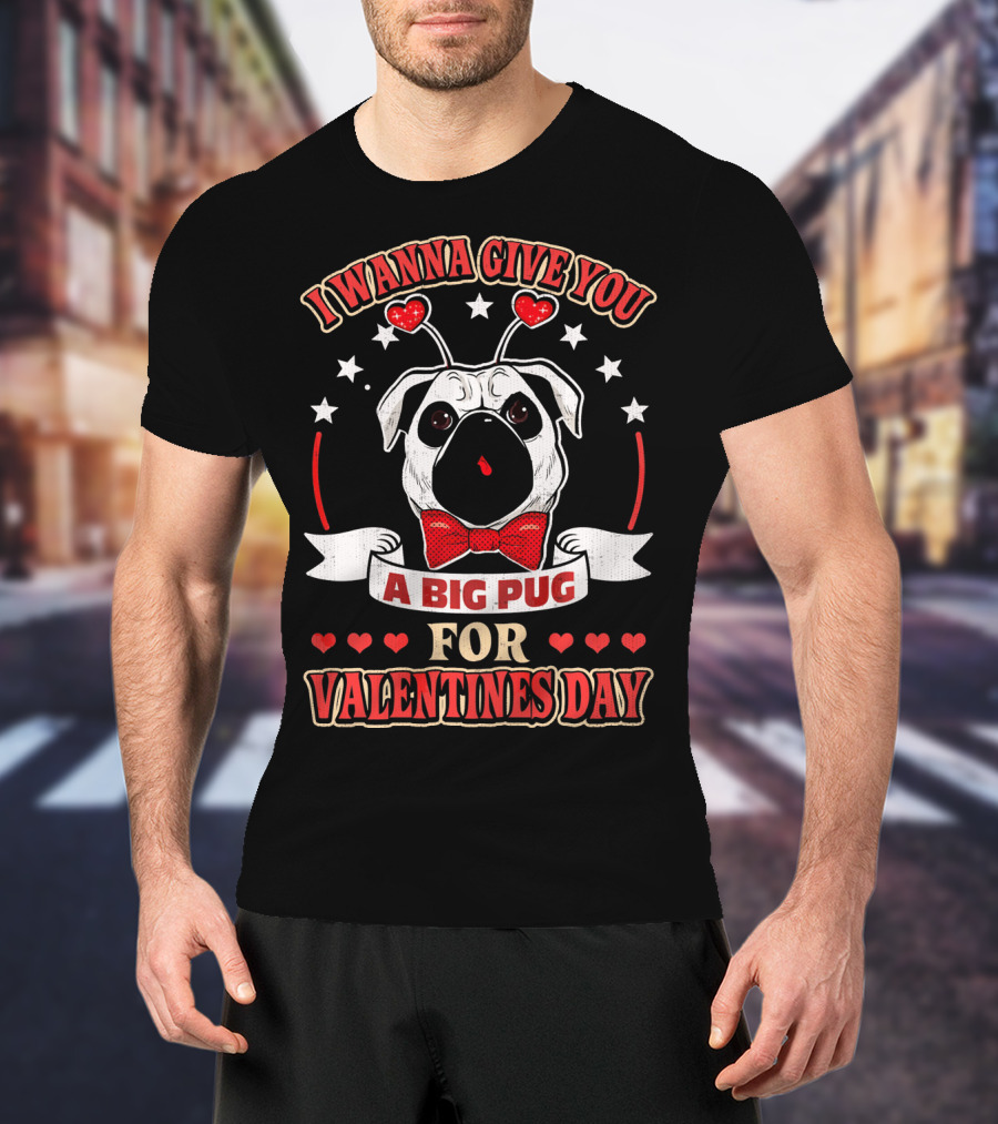 I Wanna Give You A Big Pug For Valentine's Day T-Shirt