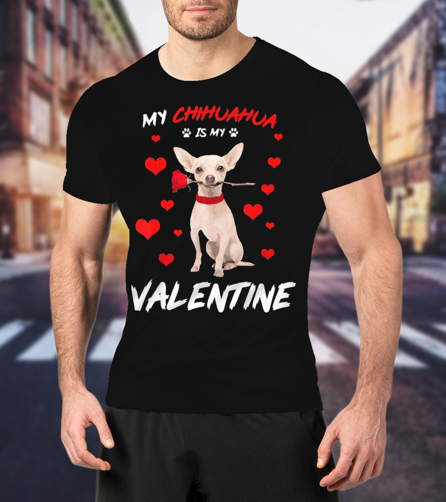 My Chihuahua Is My Valentine Raining Hearts Red Rose T-Shirt