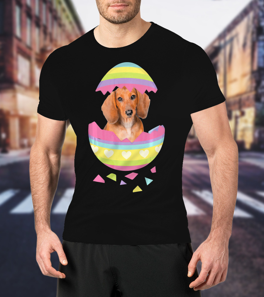 Dachshund In Colorful Easter Egg With Heart Stripes T-Shirt