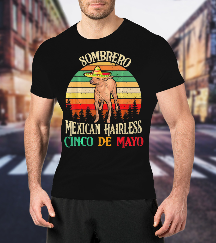 Sombrero Mexican Hairless Cinco De Mayo Vintage Sunset T-Shirt