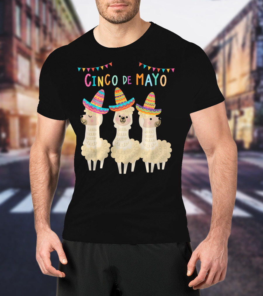 No ProbLlama Cinco De Mayo Llamas In Sombreros T-Shirt