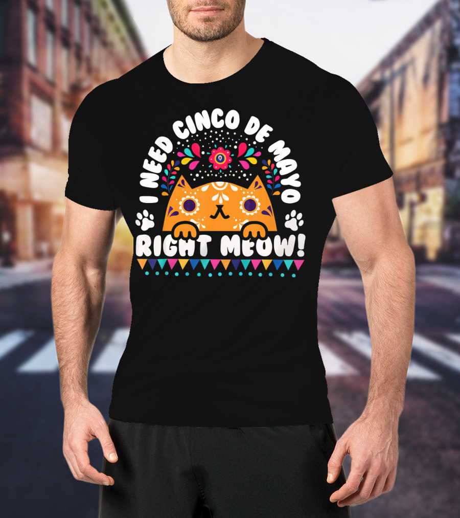 I Need Cinco De Mayo Right Meow Orange Cat Mexican Fiesta T-Shirt