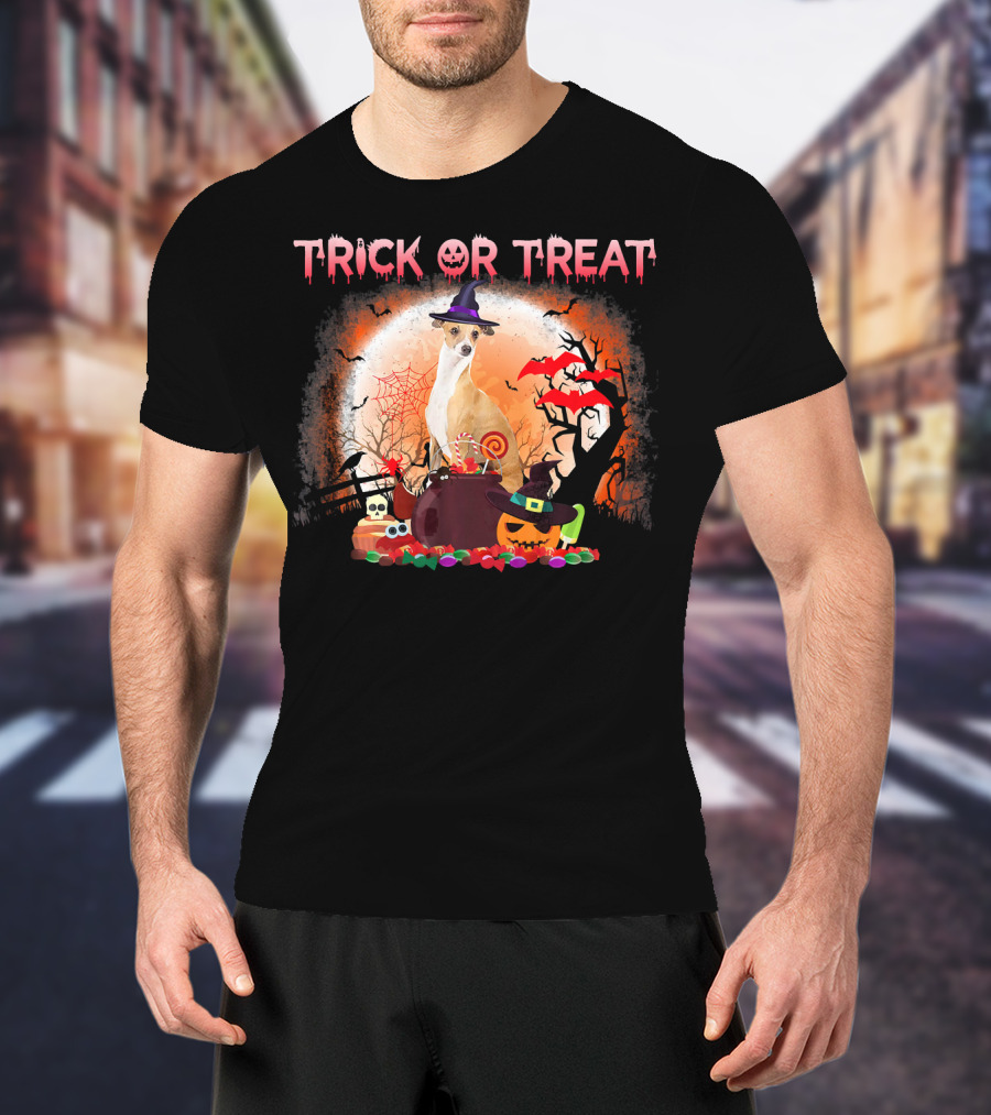 Trick Or Treat Italian Greyhound Halloween Magic Moonlit Scene T-Shirt