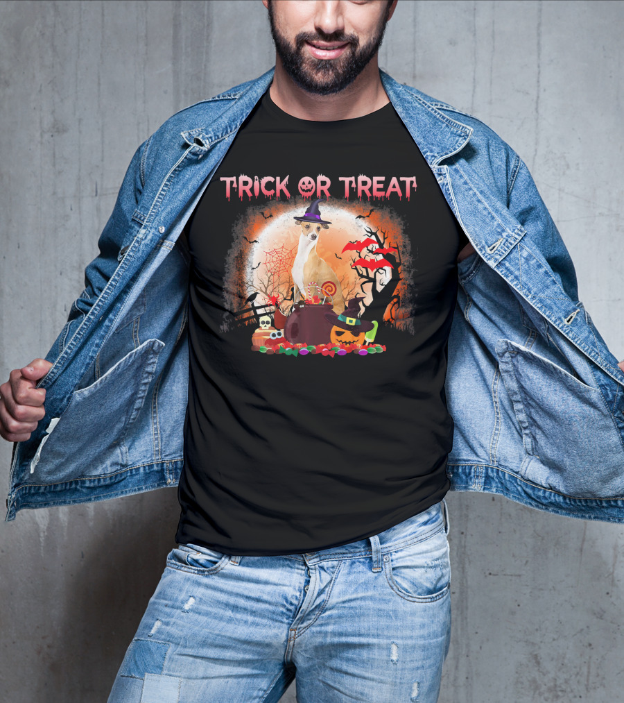 Trick Or Treat Italian Greyhound Halloween Magic Moonlit Scene T-Shirt
