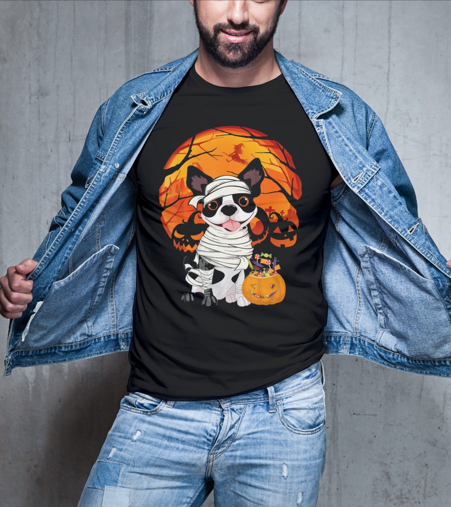 Halloween Kids Boston Terrier Mummy With Pumpkin And Witch T-Shirt