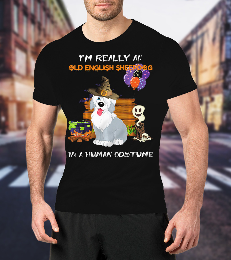 I'm Really An Old English Sheepdog In A Human Costume T-Shirt