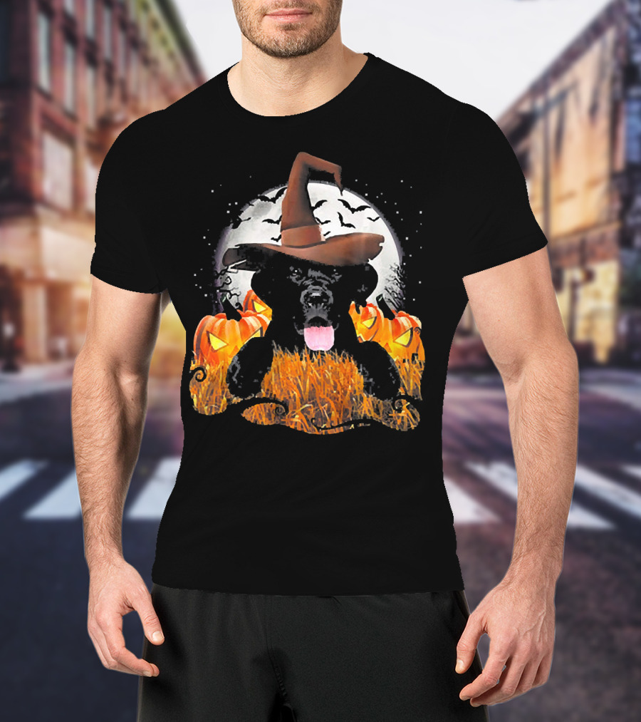 Labrador Halloween Cute Dog Witch With Pumpkin And Moon T-Shirt