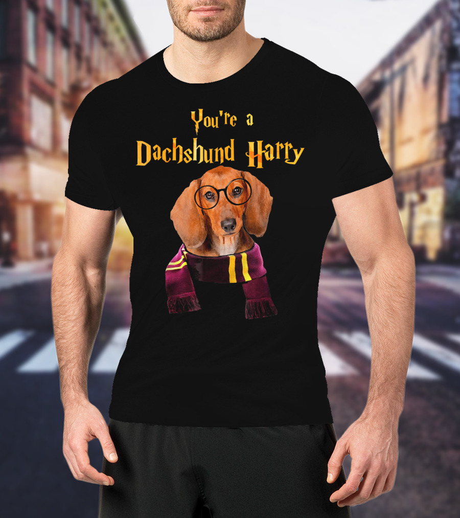 You're A Dachshund Harry T-Shirt
