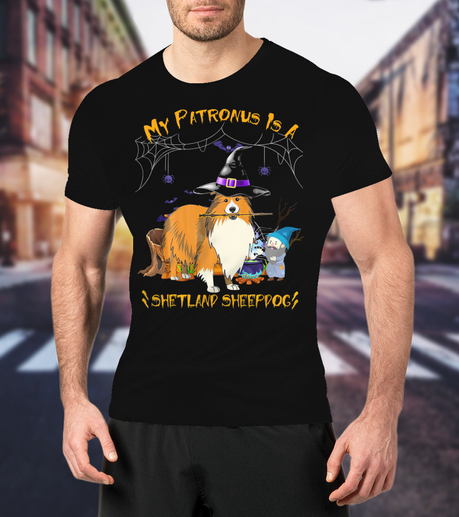 My Patronus Is A Shetland Sheepdog Halloween Witch Hat And Gnome T-Shirt