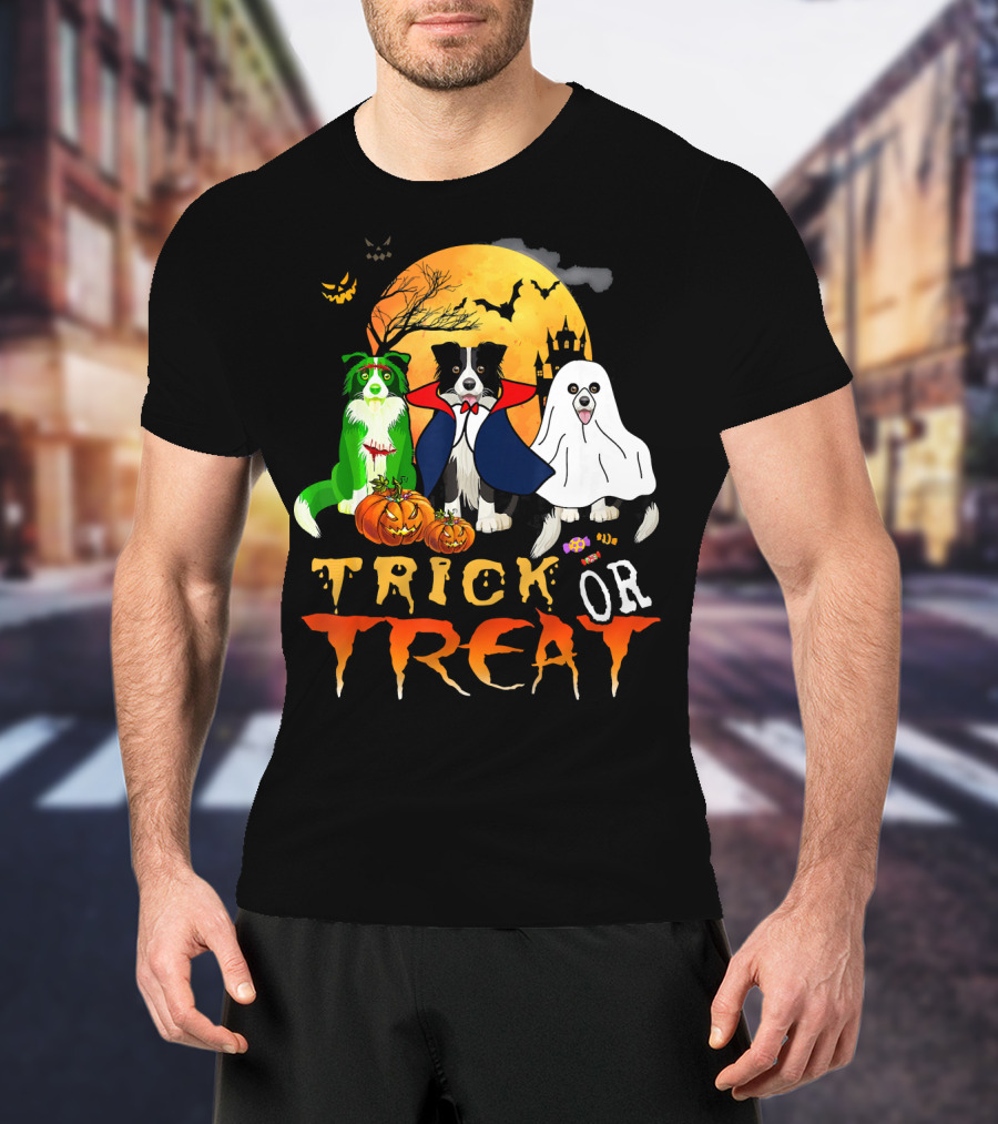 Trick Or Treat Halloween Border Collie Costumes Pumpkins Haunted Moon T-Shirt