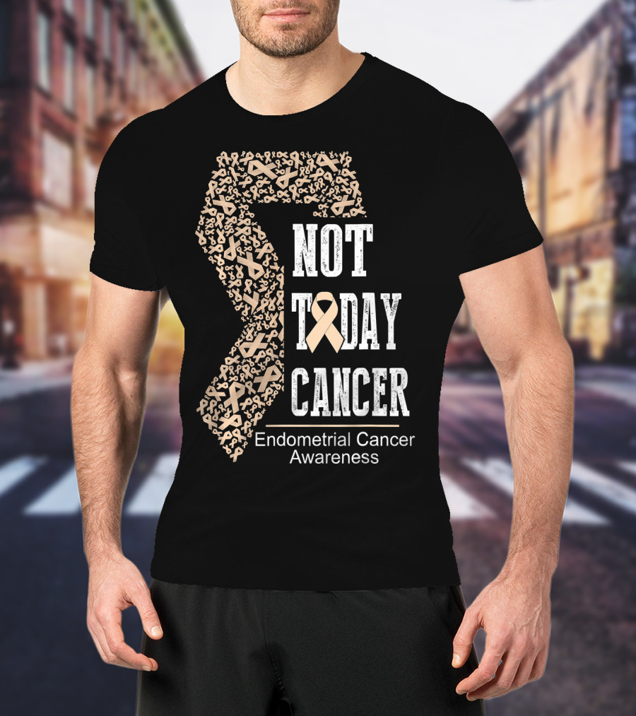 Not Today Cancer Endometrial Cancer Awareness T-Shirt