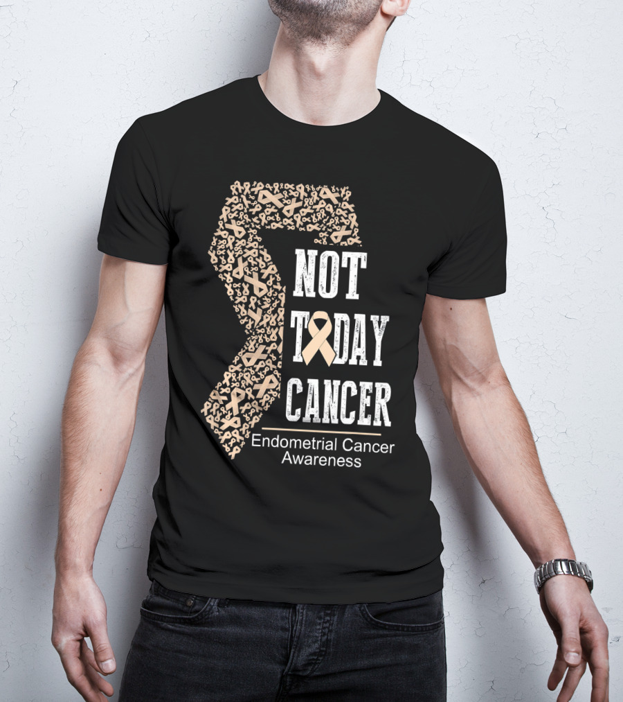 Not Today Cancer Endometrial Cancer Awareness T-Shirt