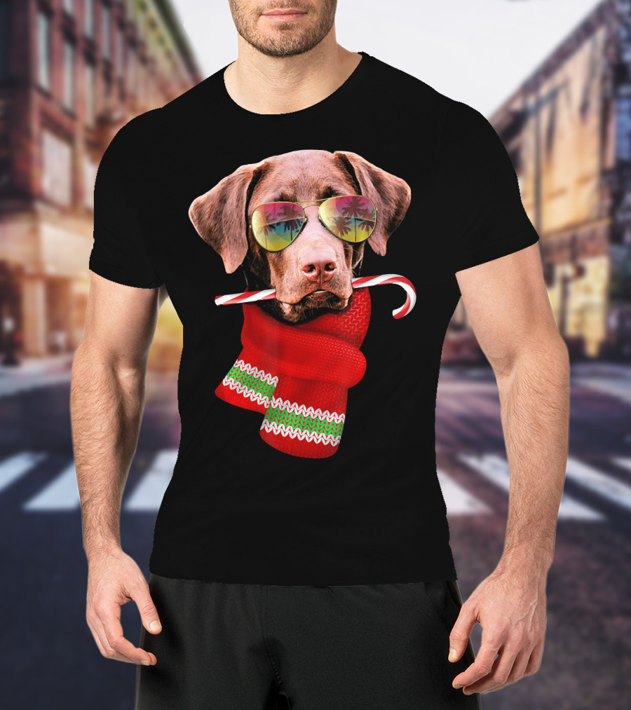 Christmas In July Labrador Sunglasses Candy Cane Scarf T-Shirt