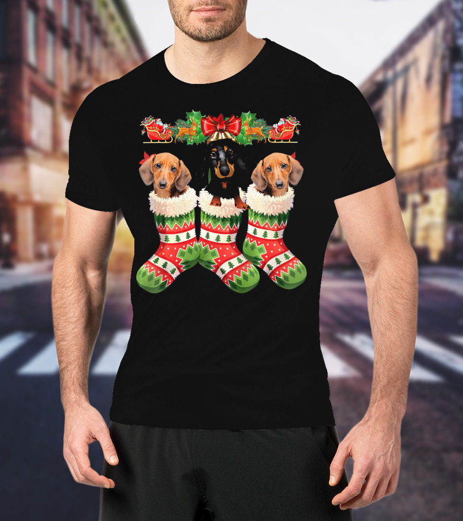 Dachshund Christmas Dogs In Festive Stockings T-Shirt