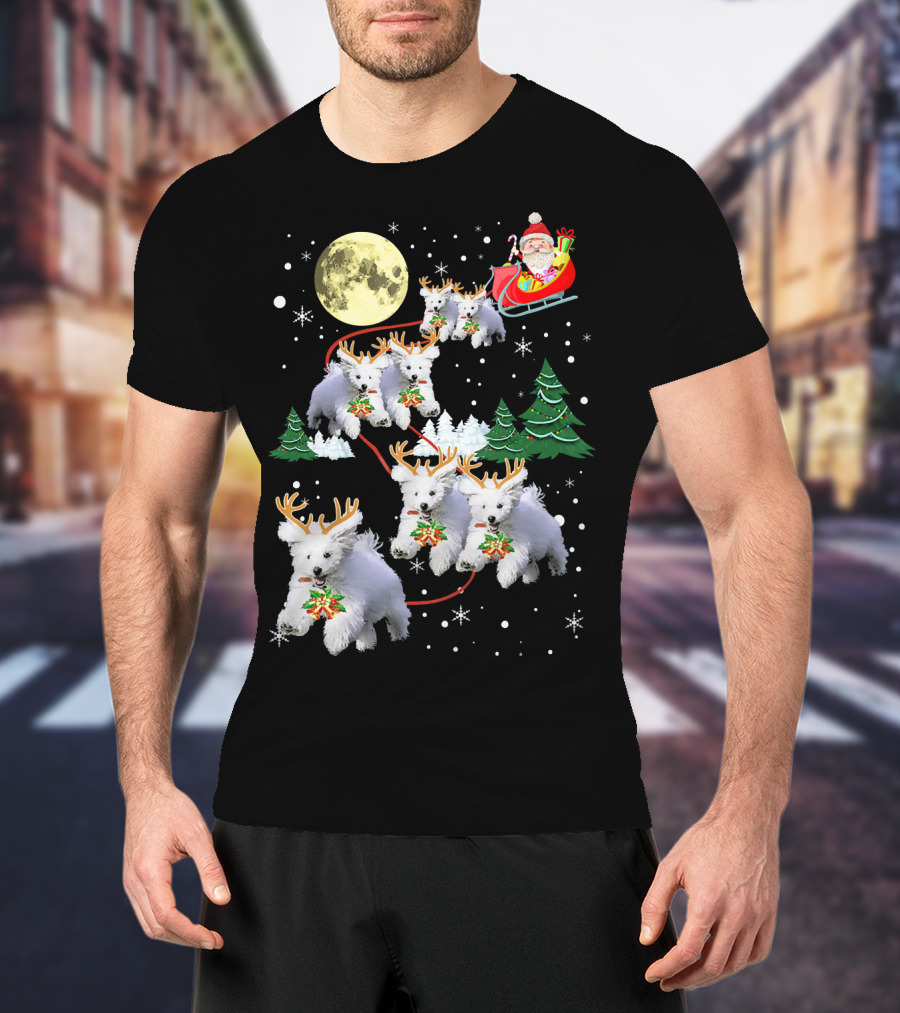 Funny Maltese Christmas Santa Claus Sleigh Reindeer Dogs Pajama T-Shirt