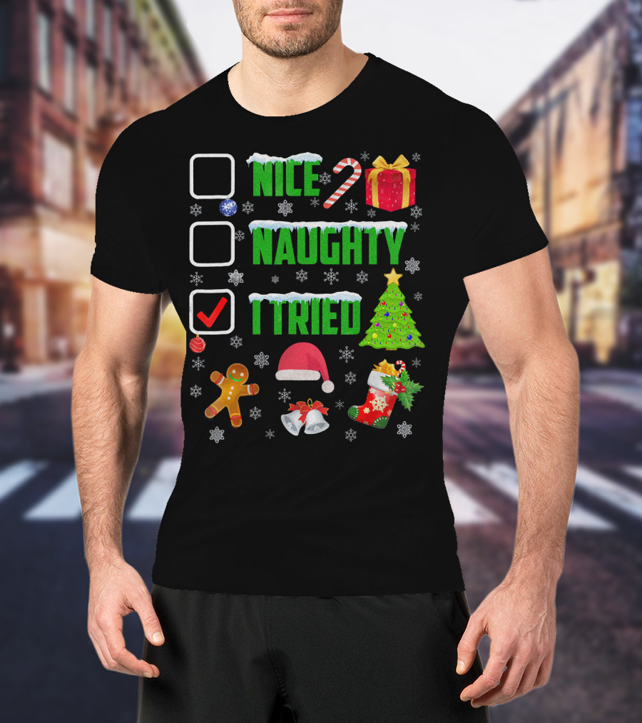 I Tried Nice Naughty Christmas Humor Candy Cane Gingerbread Santa Hat T-Shirt