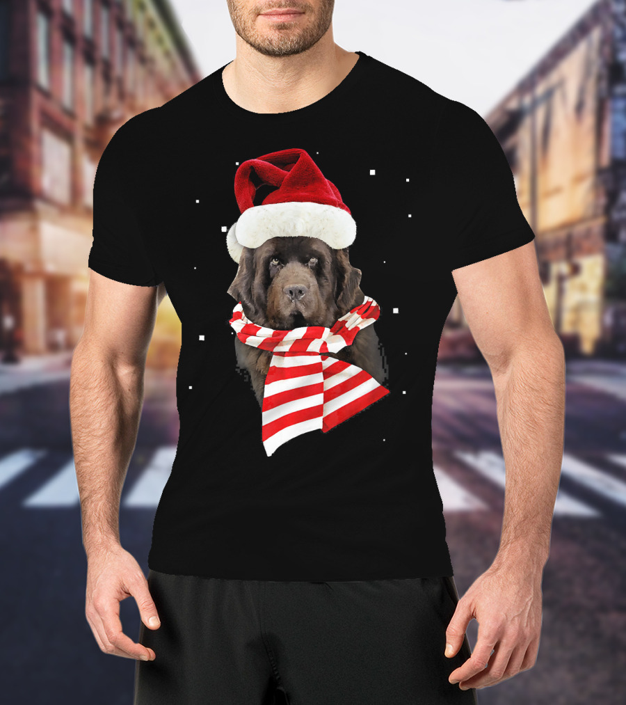 Newfoundland Santa Merry Christmas Dog With Red Hat And Scarf T-Shirt