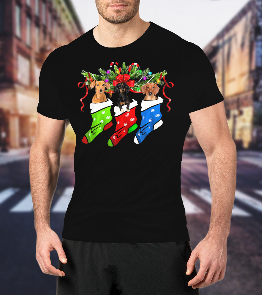 Funny Christmas Three Dachshund In Sock With Red Green Blue Holiday Stockings T-Shirt